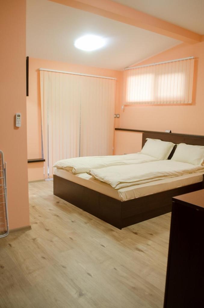 Guest House Dinevi 萨帕雷瓦巴尼亚 外观 照片